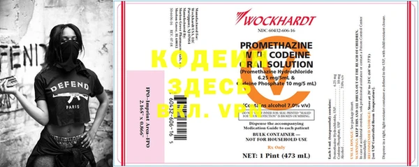 хмурый Арсеньев