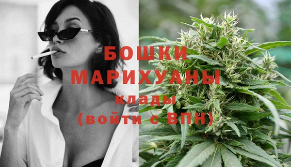 хмурый Арсеньев