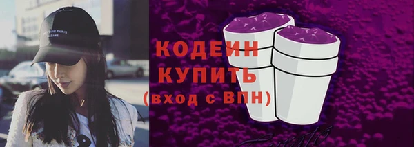 хмурый Арсеньев