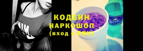 хмурый Арсеньев