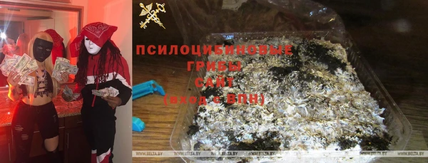 ПСИЛОЦИБИНОВЫЕ ГРИБЫ Армянск