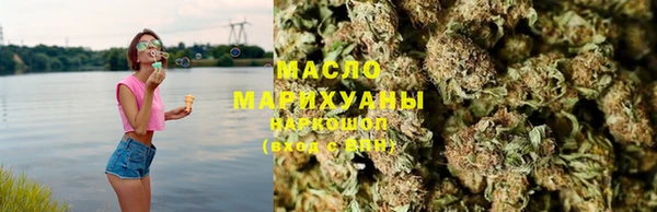хмурый Арсеньев