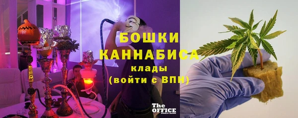 хмурый Арсеньев
