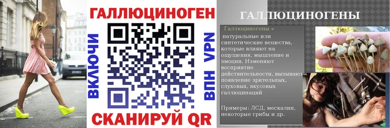 где купить наркотик  Усть-Джегута  Галлюциногенные грибы Magic Shrooms 