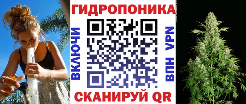 как найти   Усть-Джегута  Конопля OG Kush 